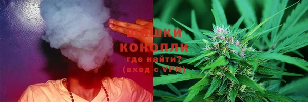 гидра Магас