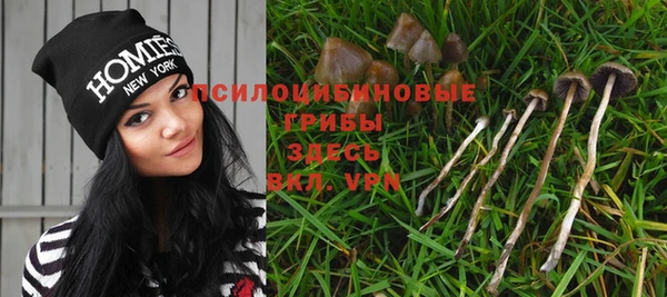 гидра Магас