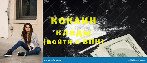дмт Новозыбков