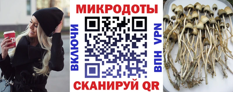 Псилоцибиновые грибы мицелий  купить закладку  Туапсе 
