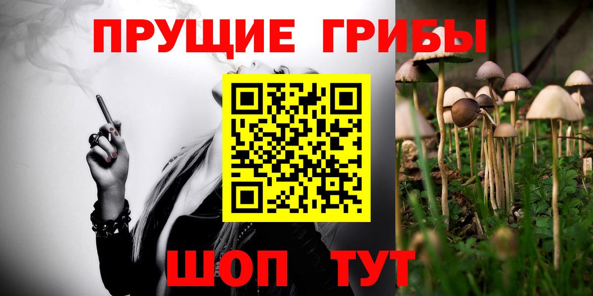 Псилоцибиновые грибы GOLDEN TEACHER  Вход с VPN  наркотики  Туапсе 
