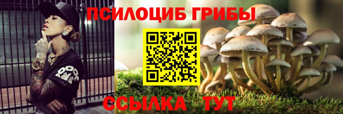 Псилоцибиновые грибы мицелий Туапсе